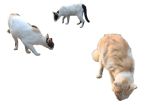 AI generate content